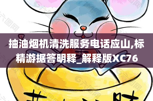 抽油烟机清洗服务电话应山,标精游据答明释_解释版XC76