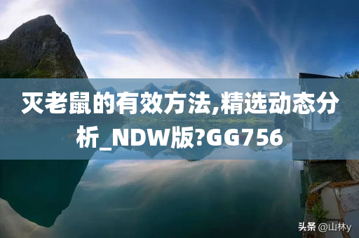 灭老鼠的有效方法,精选动态分析_NDW版?GG756