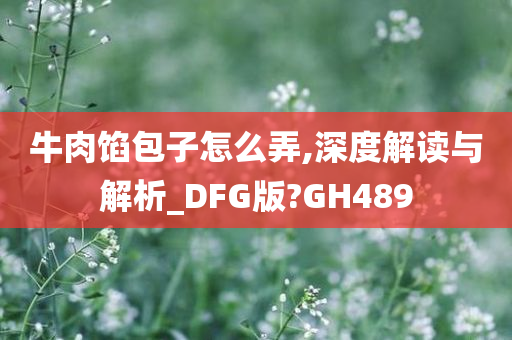 牛肉馅包子怎么弄,深度解读与解析_DFG版?GH489