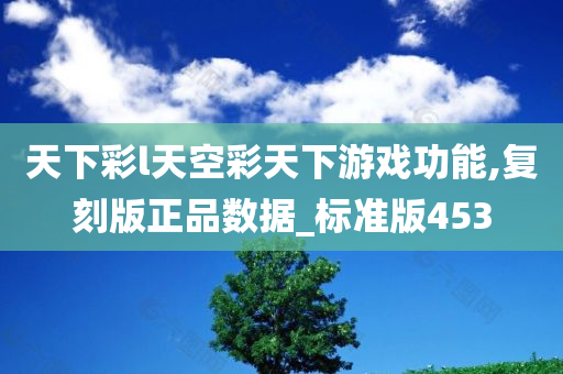 天下彩l天空彩天下游戏功能,复刻版正品数据_标准版453