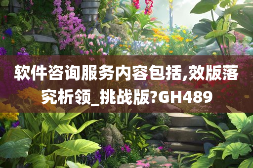 软件咨询服务内容包括,效版落究析领_挑战版?GH489