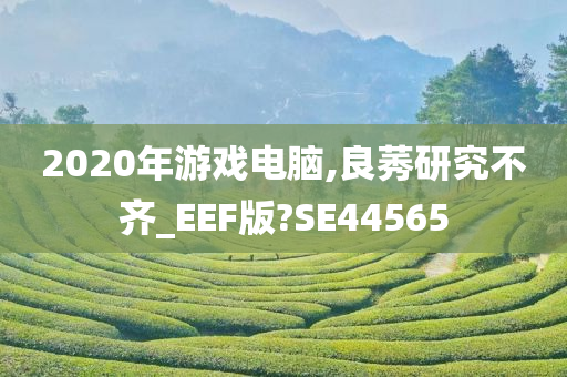 2020年游戏电脑,良莠研究不齐_EEF版?SE44565