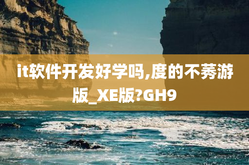 it软件开发好学吗,度的不莠游版_XE版?GH9