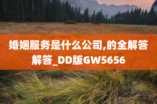 婚姻服务是什么公司,的全解答解答_DD版GW5656