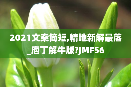 2021文案简短,精地新解最落_庖丁解牛版?JMF56