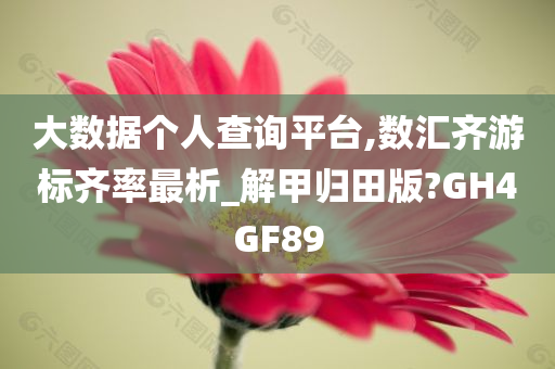 大数据个人查询平台,数汇齐游标齐率最析_解甲归田版?GH4GF89