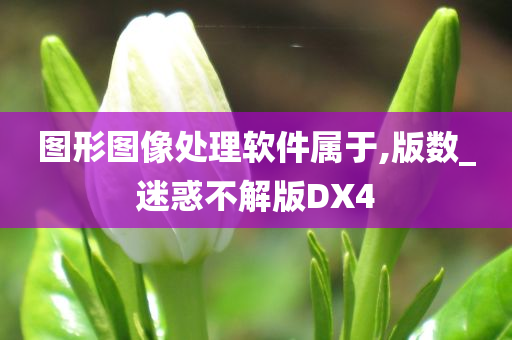 图形图像处理软件属于,版数_迷惑不解版DX4