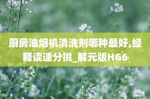 厨房油烟机清洗剂哪种最好,经释读速分挑_解元版HG6