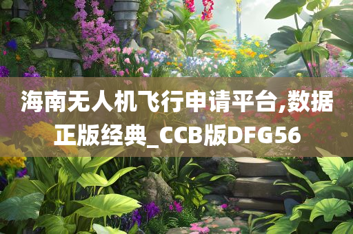 海南无人机飞行申请平台,数据正版经典_CCB版DFG56