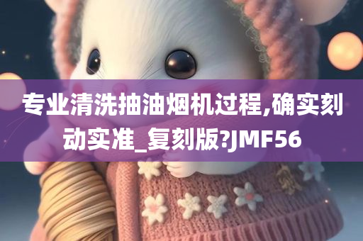 专业清洗抽油烟机过程,确实刻动实准_复刻版?JMF56