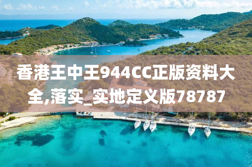 香港王中王944CC正版资料大全,落实_实地定义版78787