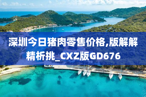 深圳今日猪肉零售价格,版解解精析挑_CXZ版GD676