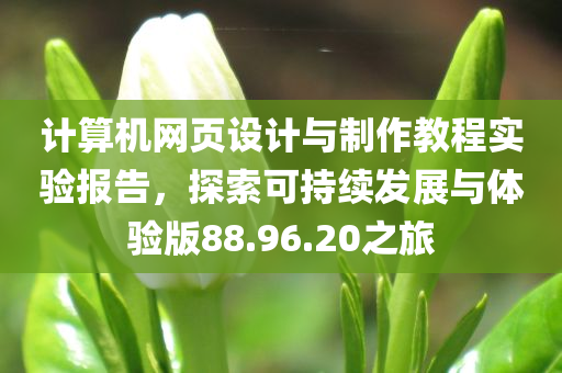 计算机网页设计与制作教程实验报告，探索可持续发展与体验版88.96.20之旅