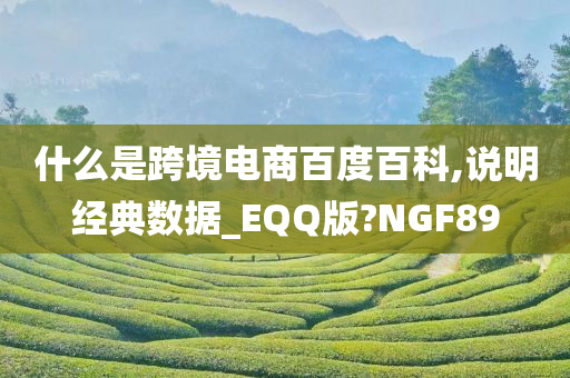 什么是跨境电商百度百科,说明经典数据_EQQ版?NGF89