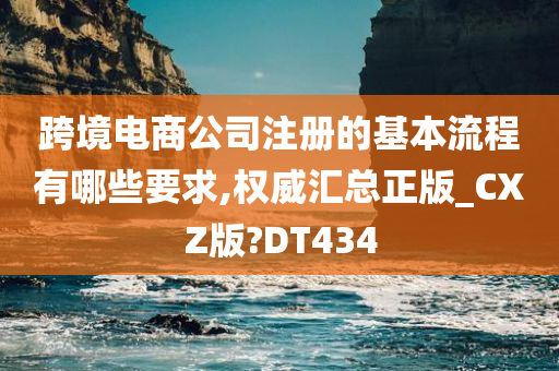 跨境电商公司注册的基本流程有哪些要求,权威汇总正版_CXZ版?DT434