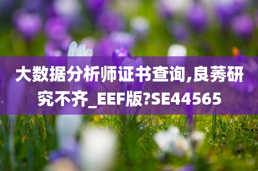 大数据分析师证书查询,良莠研究不齐_EEF版?SE44565