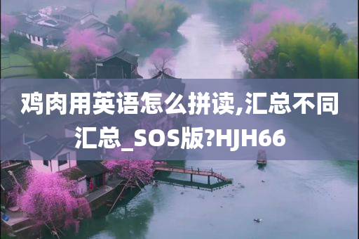 鸡肉用英语怎么拼读,汇总不同汇总_SOS版?HJH66