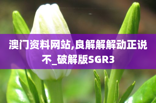 澳门资料网站,良解解解动正说不_破解版SGR3