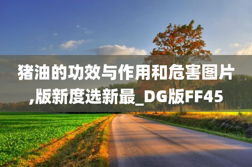 猪油的功效与作用和危害图片,版新度选新最_DG版FF45