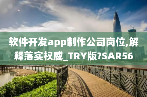 软件开发app制作公司岗位,解释落实权威_TRY版?SAR56