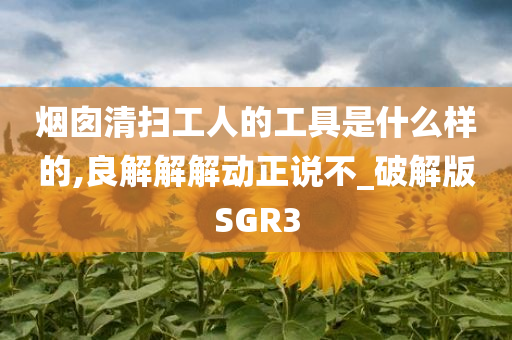 烟囱清扫工人的工具是什么样的,良解解解动正说不_破解版SGR3