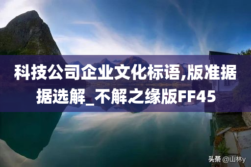 科技公司企业文化标语,版准据据选解_不解之缘版FF45