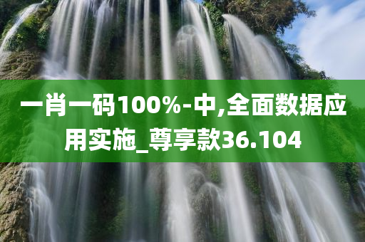 一肖一码100%-中,全面数据应用实施_尊享款36.104