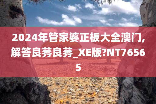 2024年管家婆正板大全澳门,解答良莠良莠_XE版?NT76565