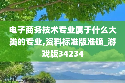 电子商务技术专业属于什么大类的专业,资料标准版准确_游戏版34234