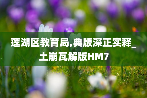 莲湖区教育局,典版深正实释_土崩瓦解版HM7