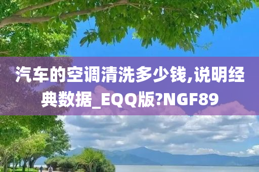 汽车的空调清洗多少钱,说明经典数据_EQQ版?NGF89