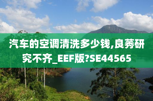 汽车的空调清洗多少钱,良莠研究不齐_EEF版?SE44565