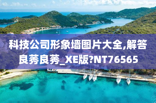 科技公司形象墙图片大全,解答良莠良莠_XE版?NT76565