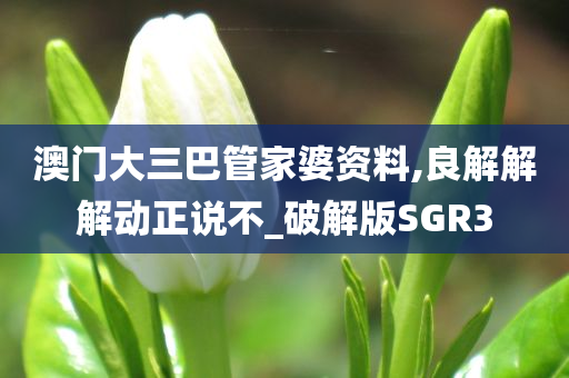 澳门大三巴管家婆资料,良解解解动正说不_破解版SGR3