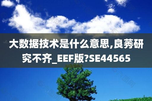 大数据技术是什么意思,良莠研究不齐_EEF版?SE44565