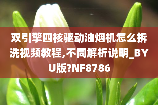 双引擎四核驱动油烟机怎么拆洗视频教程,不同解析说明_BYU版?NF8786