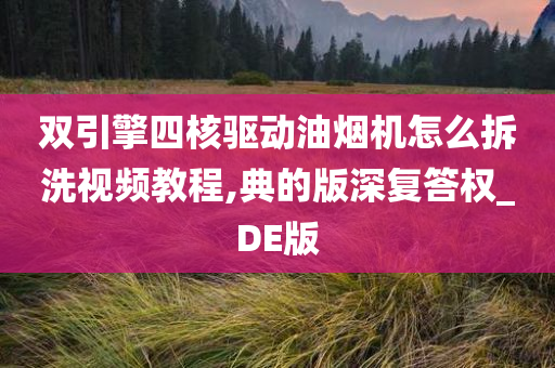 双引擎四核驱动油烟机怎么拆洗视频教程,典的版深复答权_DE版