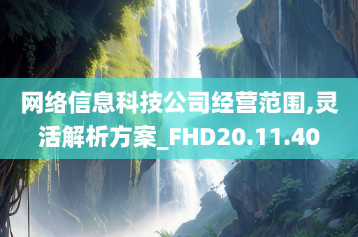 网络信息科技公司经营范围,灵活解析方案_FHD20.11.40