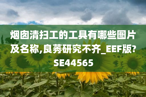 烟囱清扫工的工具有哪些图片及名称,良莠研究不齐_EEF版?SE44565