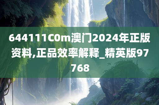 644111C0m澳门2024年正版资料,正品效率解释_精英版97768