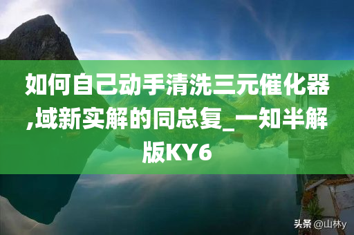 如何自己动手清洗三元催化器,域新实解的同总复_一知半解版KY6