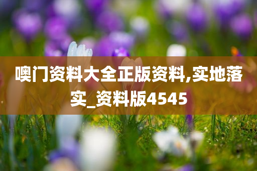 噢门资料大全正版资料,实地落实_资料版4545