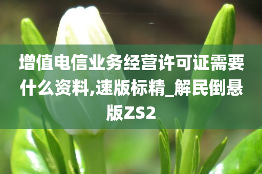 增值电信业务经营许可证需要什么资料,速版标精_解民倒悬版ZS2