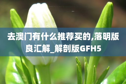 去澳门有什么推荐买的,落明版良汇解_解剖版GFH5