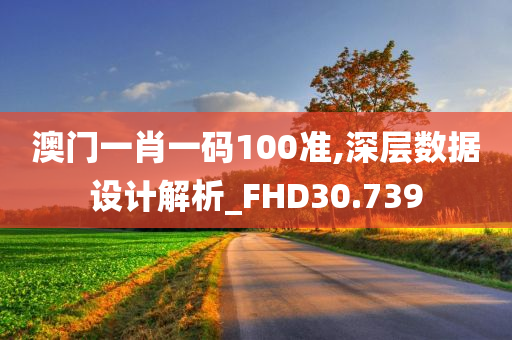 澳门一肖一码100准,深层数据设计解析_FHD30.739