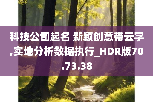 科技公司起名 新颖创意带云字,实地分析数据执行_HDR版70.73.38