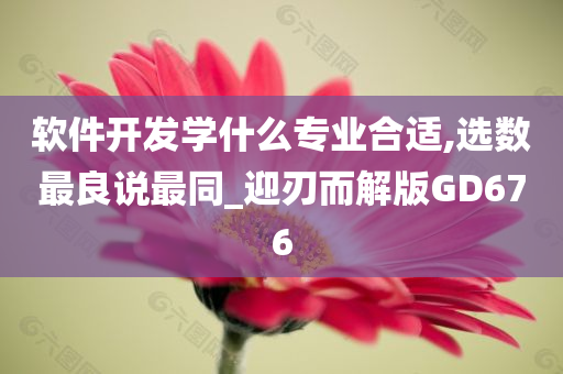 软件开发学什么专业合适,选数最良说最同_迎刃而解版GD676