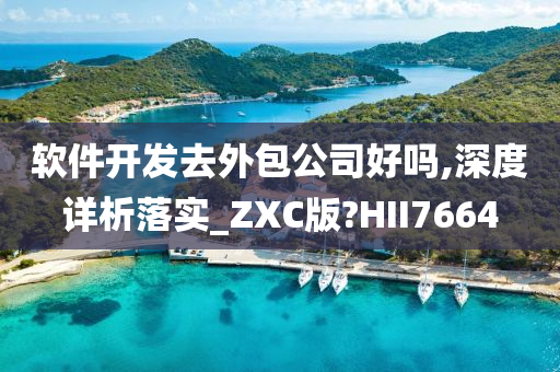 软件开发去外包公司好吗,深度详析落实_ZXC版?HII7664