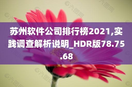 苏州软件公司排行榜2021,实践调查解析说明_HDR版78.75.68