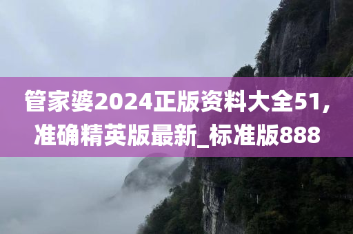 管家婆2024正版资料大全51,准确精英版最新_标准版888